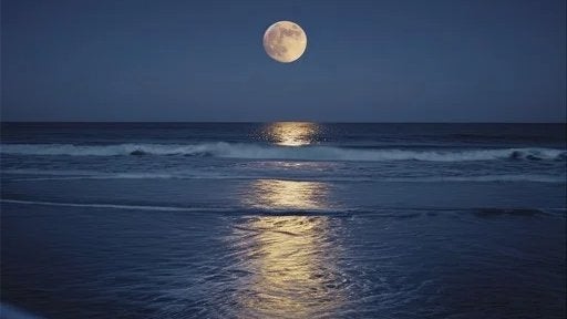 Full Moon 🌕  🌌 Walk 🏃‍♂️🏃‍♀️ at the Beach 🌊
