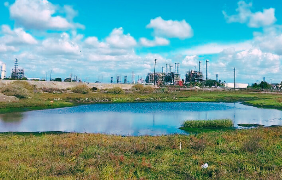 What's Happening in Long Beach this weekend feb 7 - 8, 2026