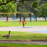 Spring Break in Long Beach 2026