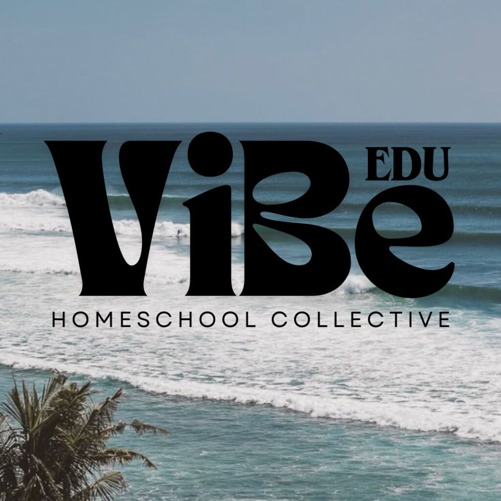 VIBE Logo Black