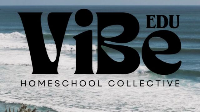 VIBE Logo Black