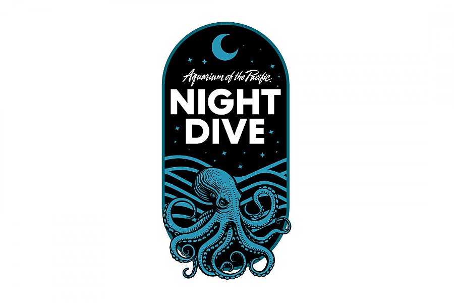 Night Dive