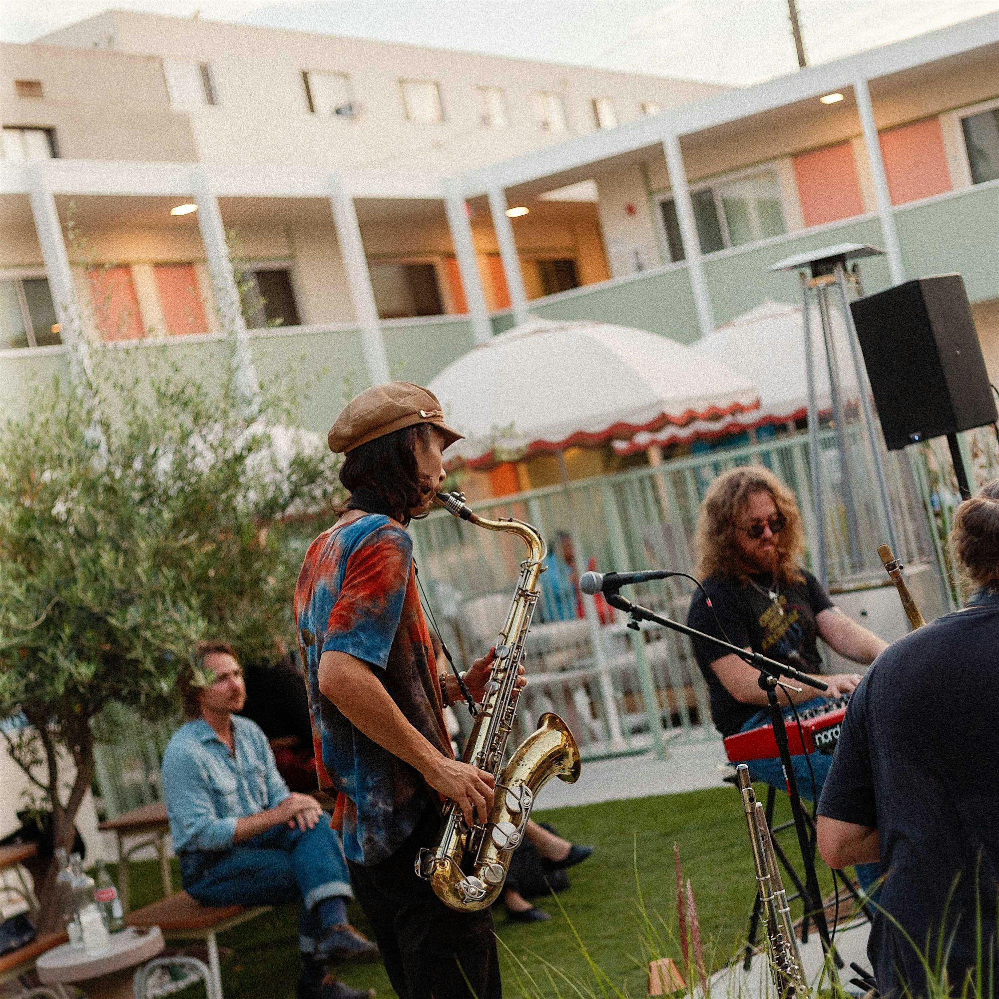Free RSVP Jazz night at Olive & Rose