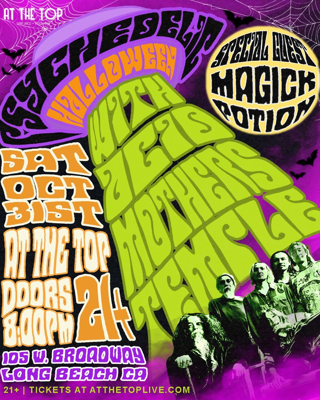 Acid Mothers Temple: Psychedelic Experience